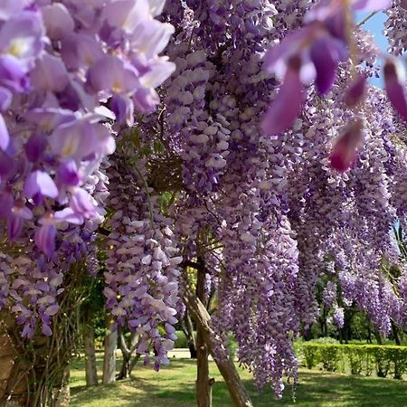 Villa Provencale Familiale Avec Piscine Гримо Экстерьер фото