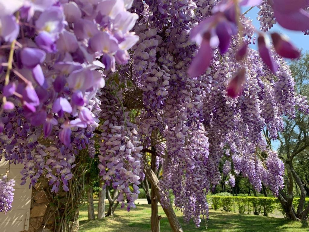 Villa Provencale Familiale Avec Piscine Гримо Экстерьер фото