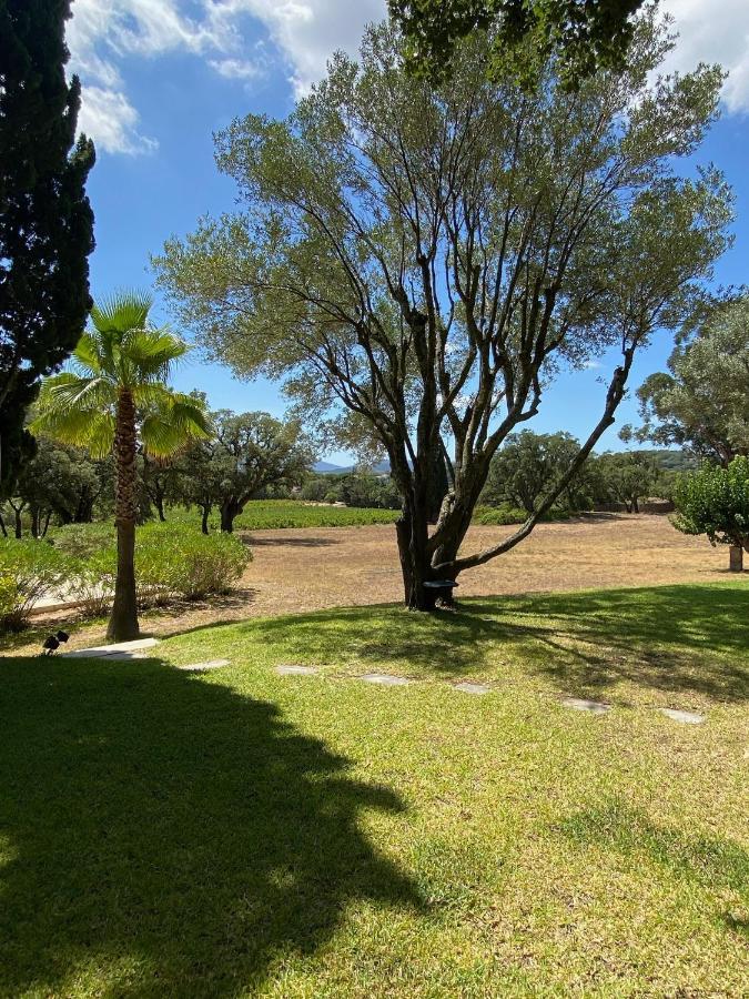 Villa Provencale Familiale Avec Piscine Гримо Экстерьер фото