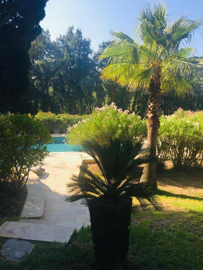 Villa Provencale Familiale Avec Piscine Гримо Экстерьер фото